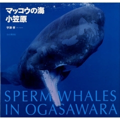 マッコウの海・小笠原