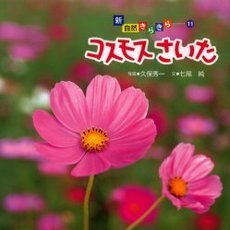 コスモスさいた
