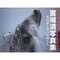 宮城清写真集　座頭鯨と海の仲間たち　慶良間の海の永遠を願って