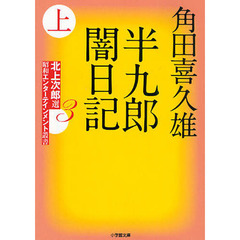半九郎闇日記　上