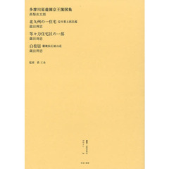 叢書・近代日本のデザイン　５４　復刻版　多摩川原遊園京王閣図集