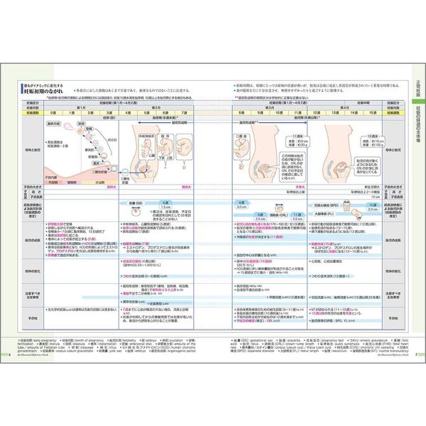 病気がみえる vol.1-7,9,10 STEP産科