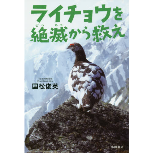 ϵ岹Ȳ ƶ  β