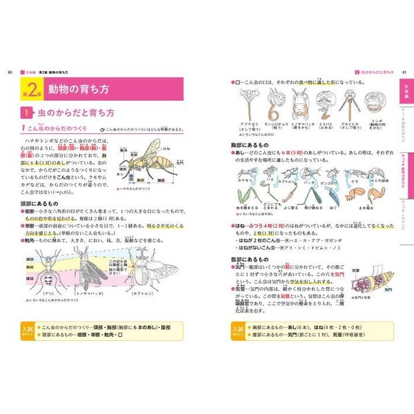 完全理解小学理科 知識を深め考える力を育む 通販｜セブンネット