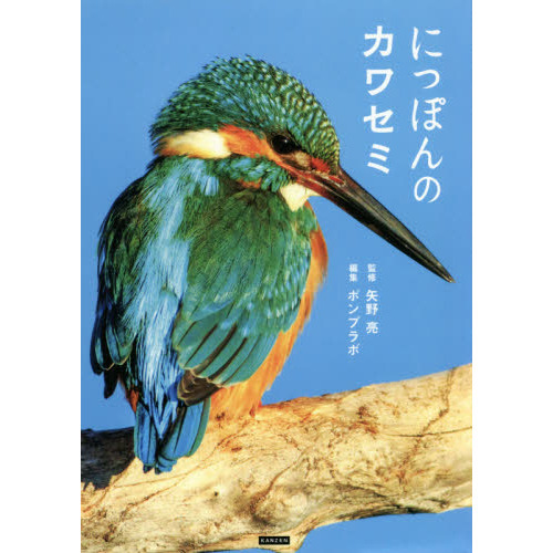 にっぽんのカワセミ（単行本）