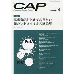 ＣＡＰ　３８２