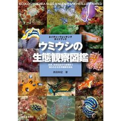 ウミウシの生態観察図鑑