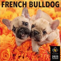 フレンチ・ブルドッグ 2025年カレンダー
