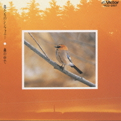 鳥たちのシンフォニー　森の中で