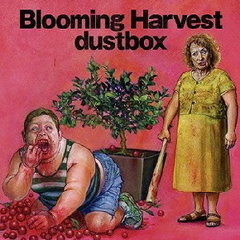 【廃盤】 dustbox (ダストボックス) CD 11枚セット 廃盤】 dustbox (ダストボックス) CD 11枚セット