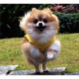 ֥ͥåȥåԥ󥰤㤨OvertimefuckinǡworkofoneminutesפβǤʤ1,320ߤˤʤޤ