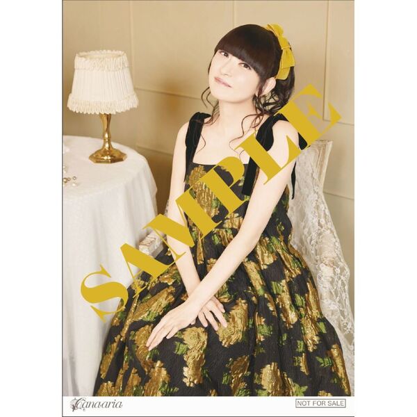 田村ゆかり（神楽坂ゆか）ブロマイド（生写真）まとめ売り 116枚