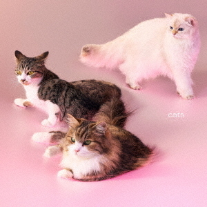 My Hair is Bad／cats（初回限定盤／CD+Photobook）（早期予約特典