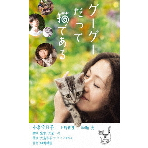 グーグーだって猫である（DVD） 通販｜セブンネットショッピング 