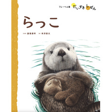 らっこ