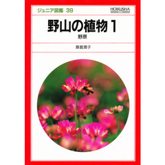 野山の植物　１　野原