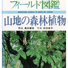 山地の森林植物