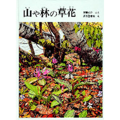 山や林の草花