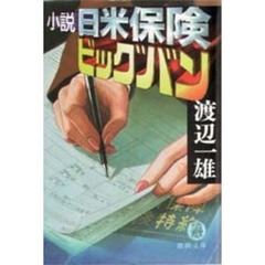 小説日米保険ビッグバン