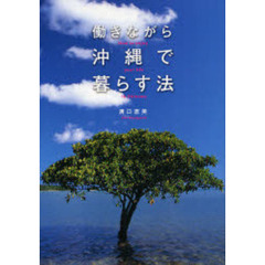 働きながら沖縄で暮らす法