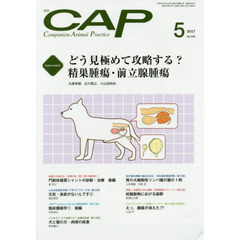 ＣＡＰ　３３５