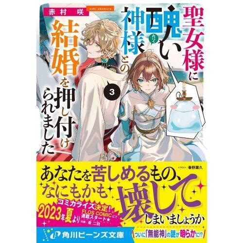 聖女様に醜い神様との結婚を押し付けられました　３（文庫本）