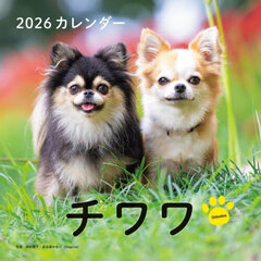 ２０２６カレンダーチワワ