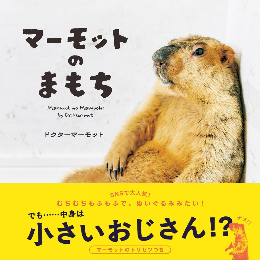 マーモットのまもち 通販｜セブンネットショッピング