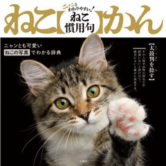 ニャンとわかりやすい！ねこ慣用句　ねこかん