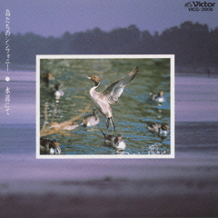 鳥たちのシンフォニー　水辺にて