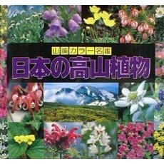 日本の高山植物