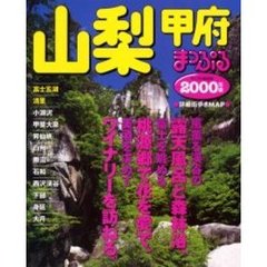 山梨　甲府　富士五湖・清里　２０００年版