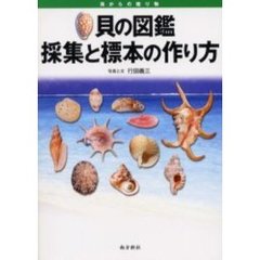 貝の図鑑採集と標本の作り方　海からの贈り物