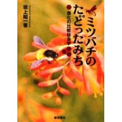 ミツバチのたどったみち　進化の比較社会学　新装版