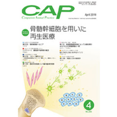 ＣＡＰ　２５０