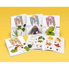 せんせい！これなあに？　なまえしらべずかん　４巻セット
