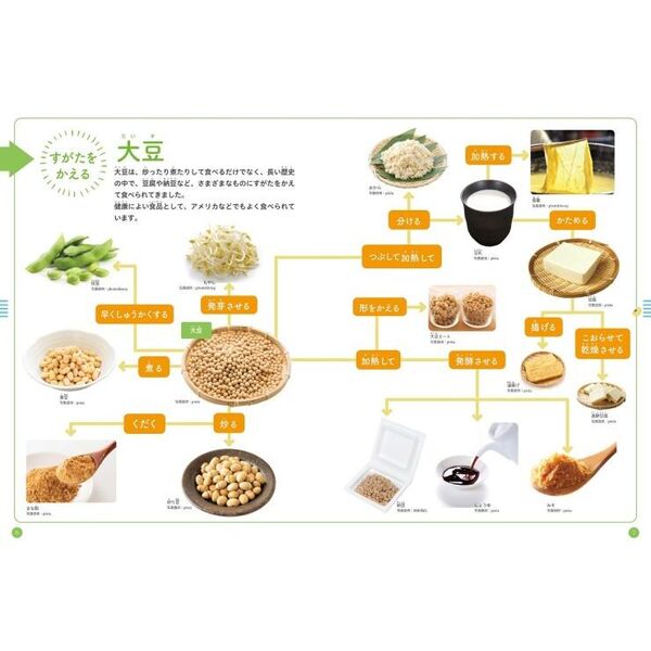 すがたをかえる 大豆 いろんなものにへんしん！ 食べもののひみつ1