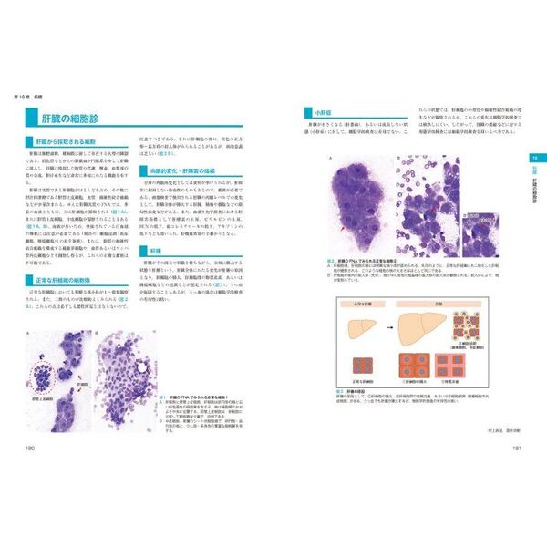 犬と猫の実践 細胞診アトラス - 健康・医学