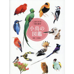 しあわせの一羽を探す小鳥の図鑑