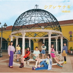 NMB48／25thシングル「シダレヤナギ」（通常盤Type-C／CD＋DVD）（特典なし）