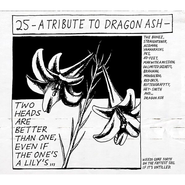 25 -A Tribute To Dragon Ash-（完全生産限定25th Anniversary BOX B