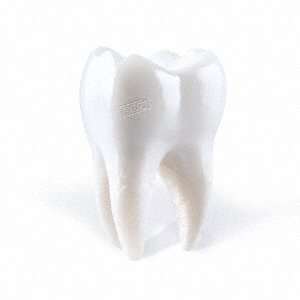 ֥ͥåȥåԥ󥰤㤨TEETHINGפβǤʤ1,078ߤˤʤޤ