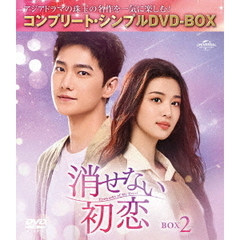 消せない初恋 BOX 2 ＜コンプリート・シンプルDVD-BOX 5500円シリーズ／期間限定生産＞（ＤＶＤ）