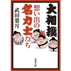 大相撲 想い出の名力士たち