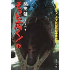 もっと広く！　南北両アメリカ大陸縦断記・南米篇　下
