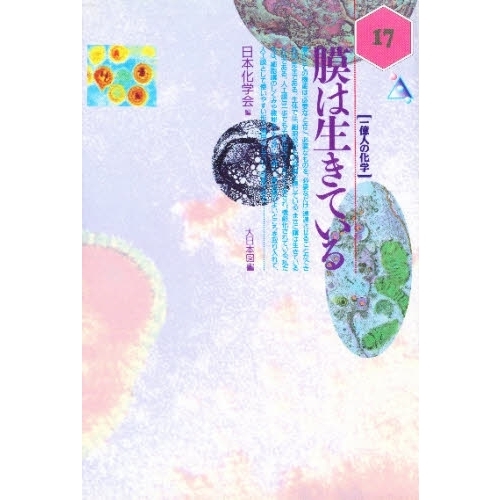 Ĵ٤褦β