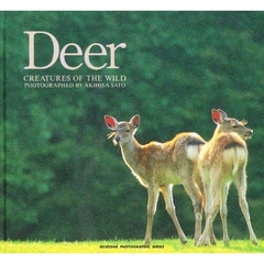 Ｄｅｅｒ