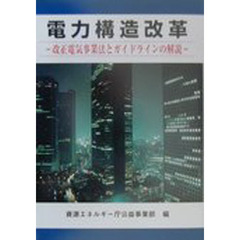 電力構造改革　改正電気事業法とガイドラインの解説