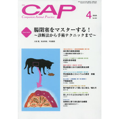 ＣＡＰ　３２２