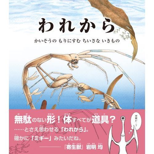 ޤ 餹Ȥβ
